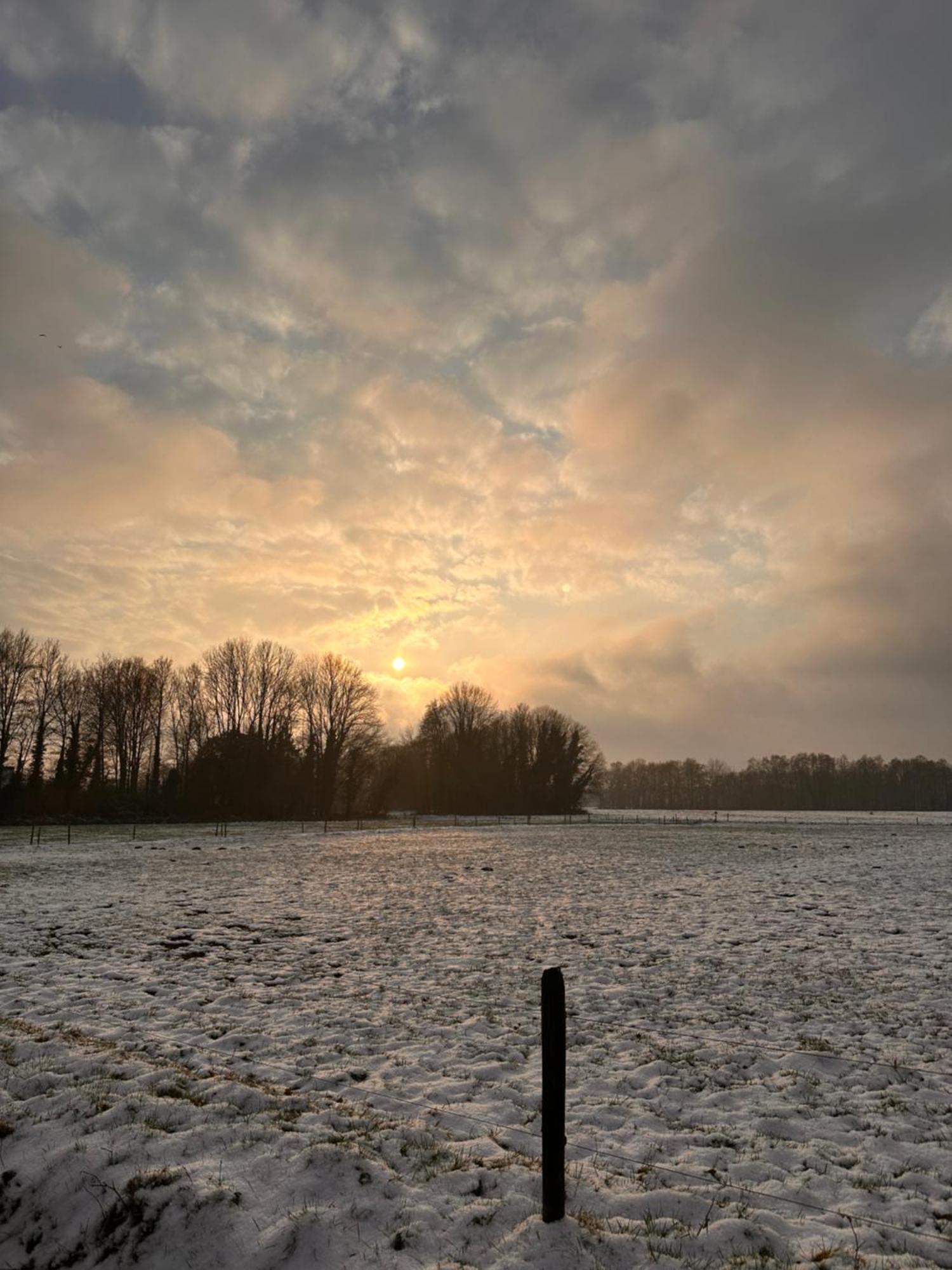 Herberg Sellingen エクステリア 写真